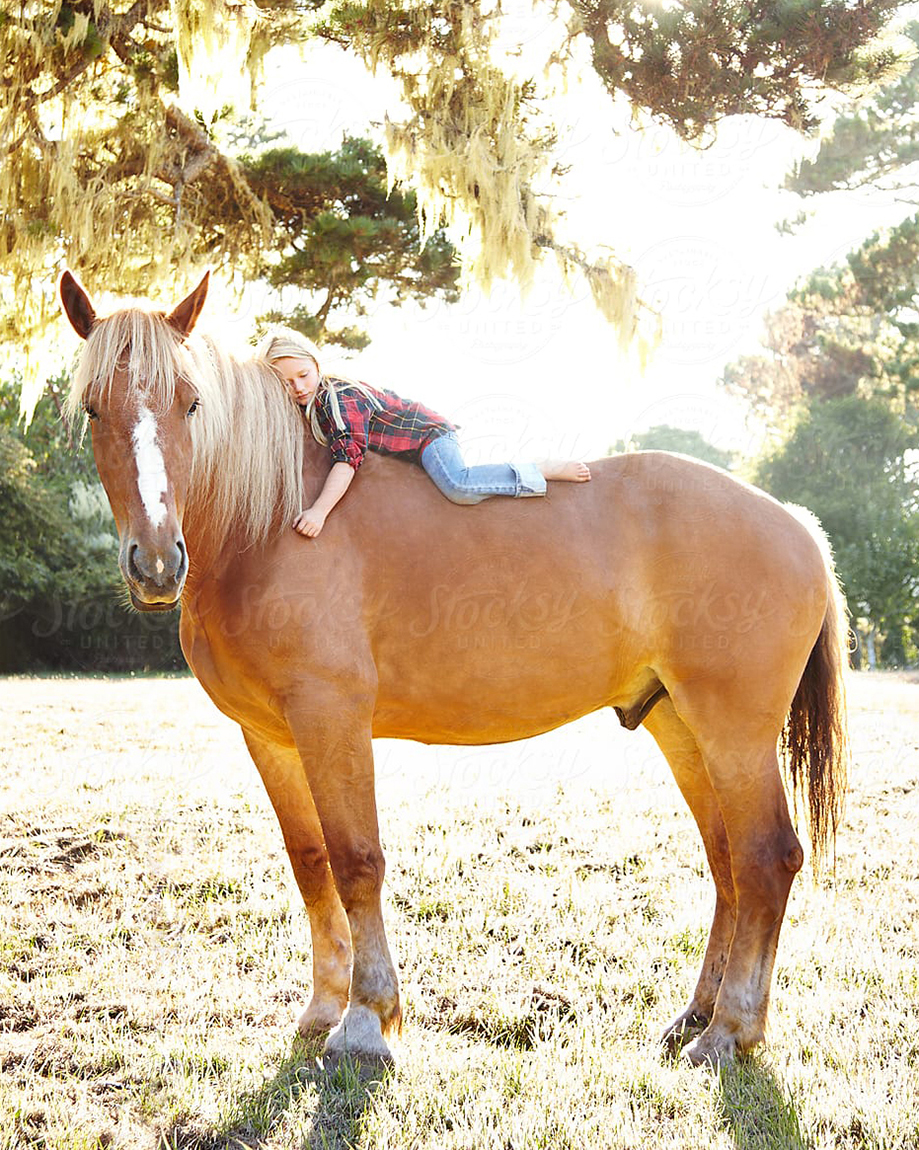 young girl laying on standing horse