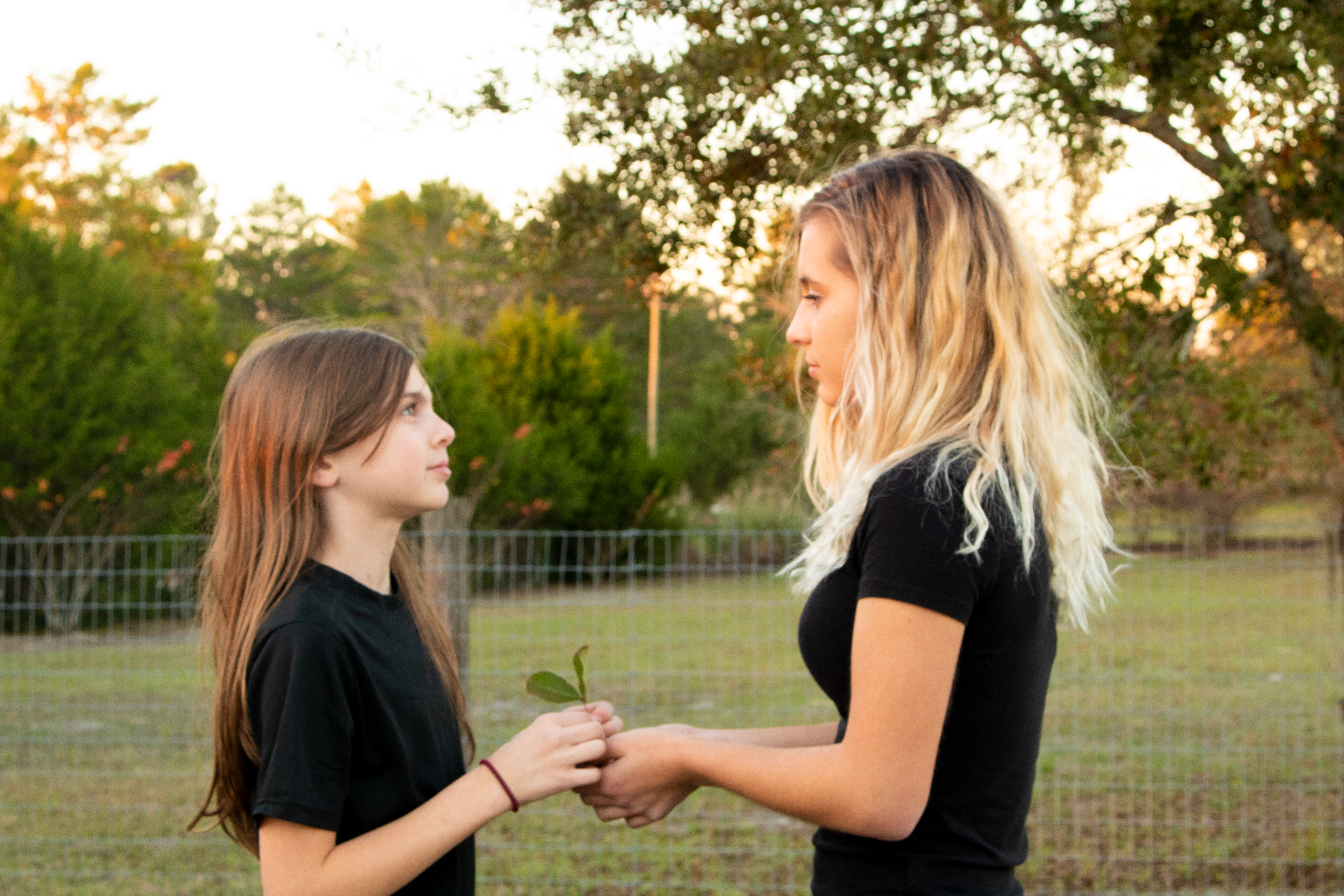 Young girl and teenager holding young plant between them