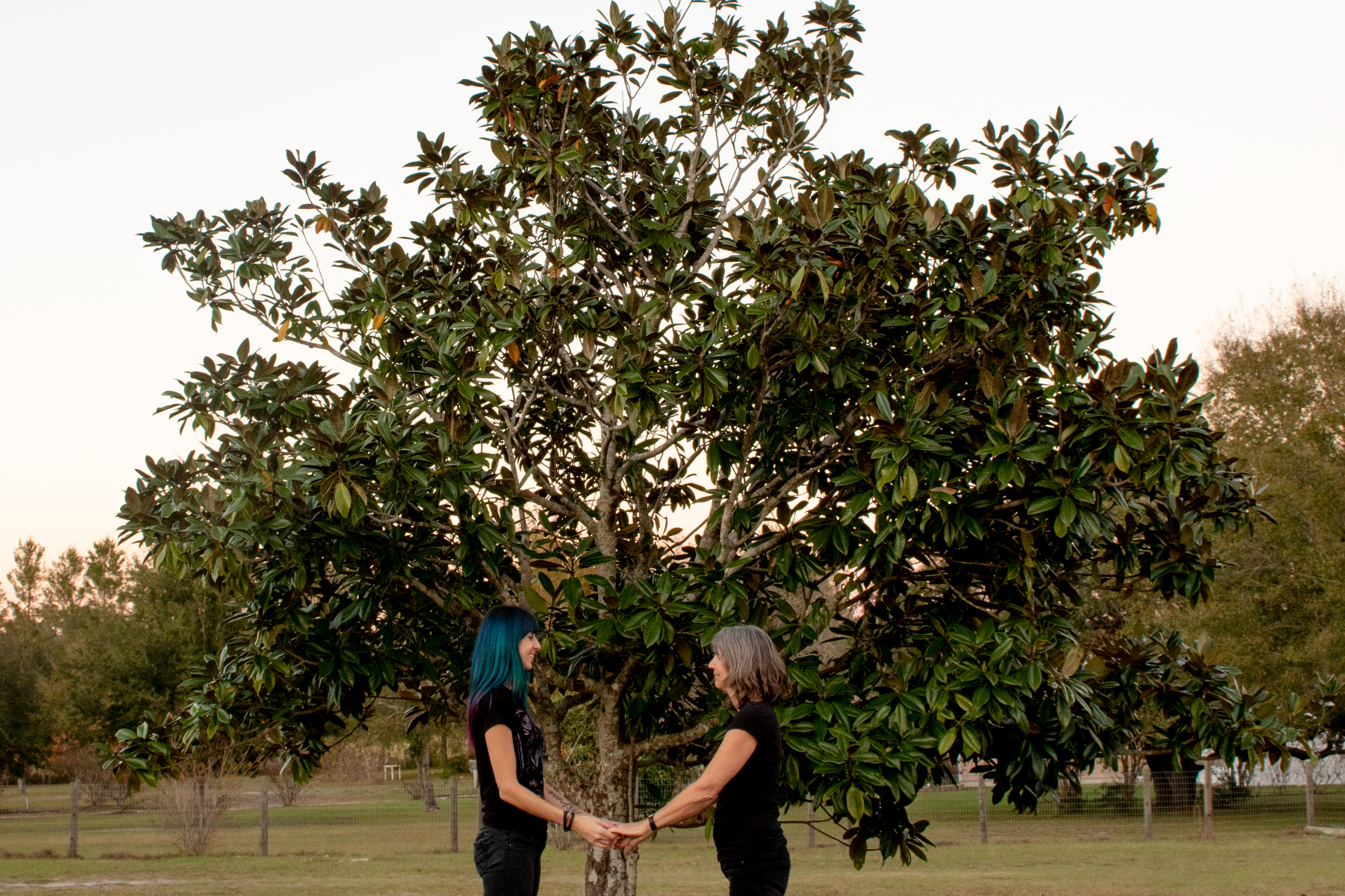 mother and grandmother with fully grown tree between them